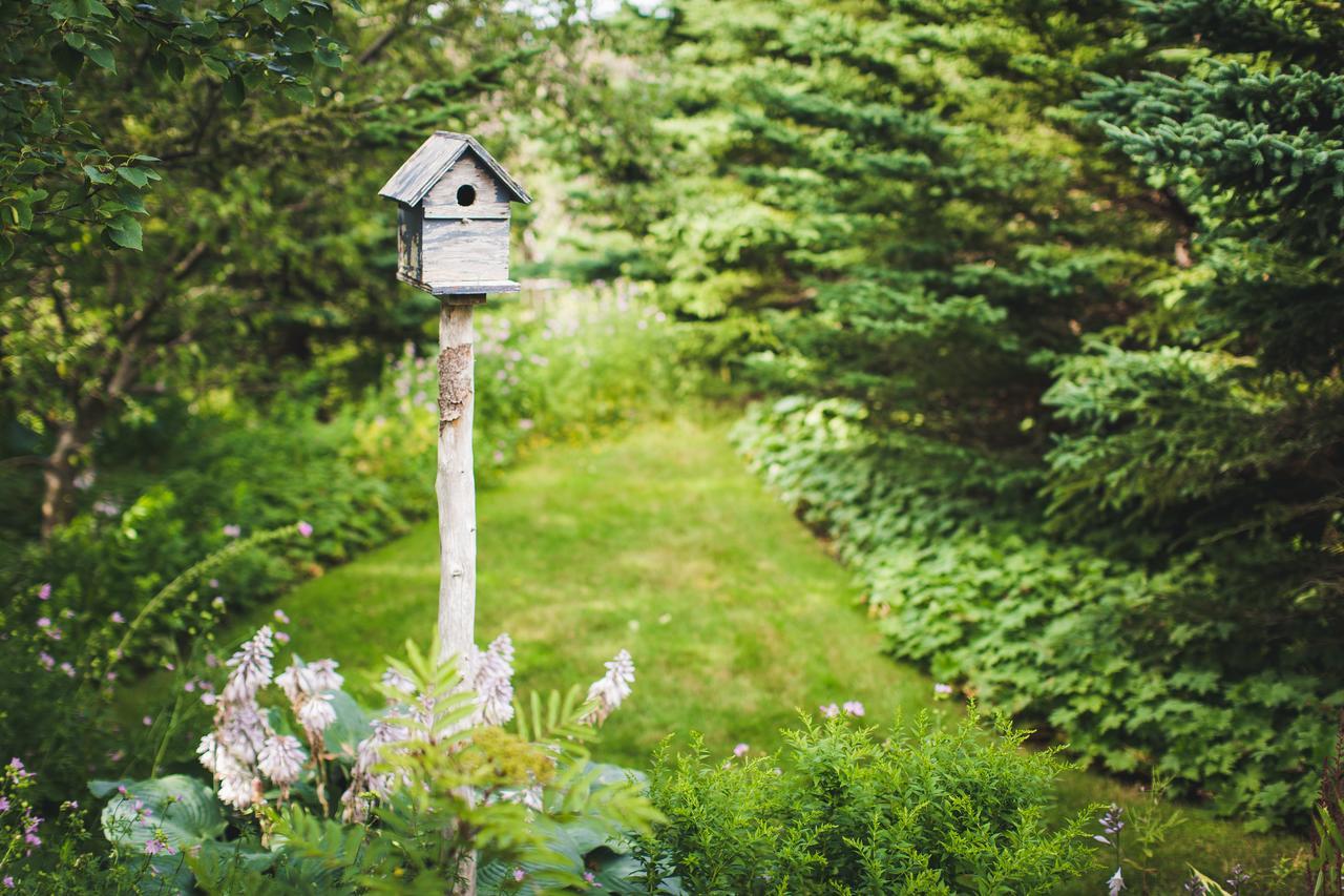 Abbie's Garden Bed&Breakfast Grand Bank Exterior foto