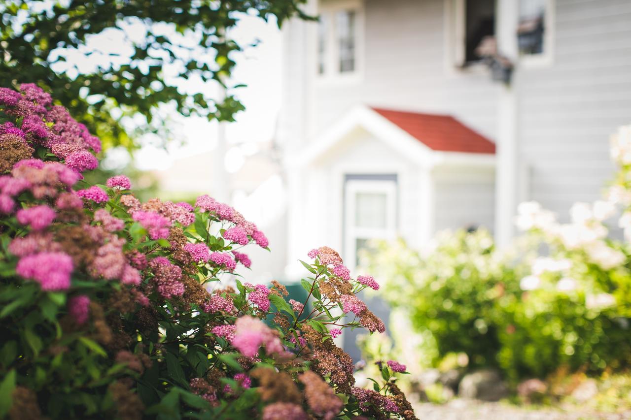 Abbie's Garden Bed&Breakfast Grand Bank Exterior foto